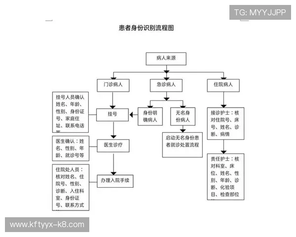 凯发集团会员注册流程图完整示意图及操作流程详解 凯发集团会员注册流程图完整示意图及操作流程详解