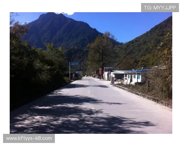 二八扑克牌赢钱技巧全攻略,教你如何在游戏中稳操胜券实现盈利 二八扑克牌赢钱技巧全攻略,教你如何在游戏中稳操胜券实现盈利