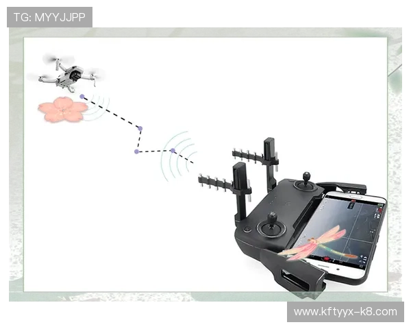 不同平台上pong电子游戏的优化体验与性能提升方法全方位介绍 不同平台上pong电子游戏的优化体验与性能提升方法全方位介绍