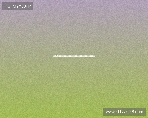 关于K8凯发网址登录线路的全面指南帮助用户理解连接方式与安全保障措施